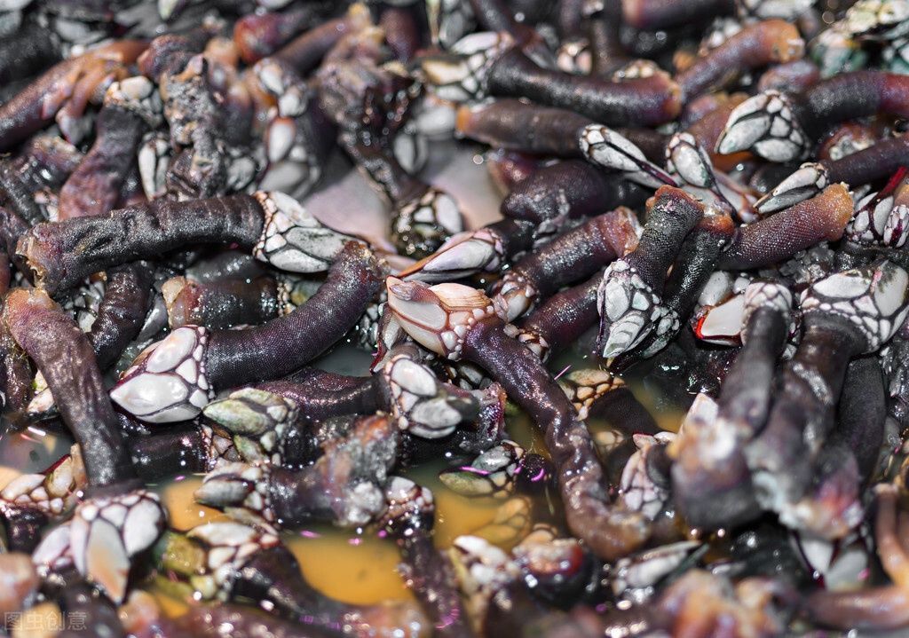 位数|据说这5种海鲜吃一顿至少4位数?有钱可能全吃过,没钱只听说过
