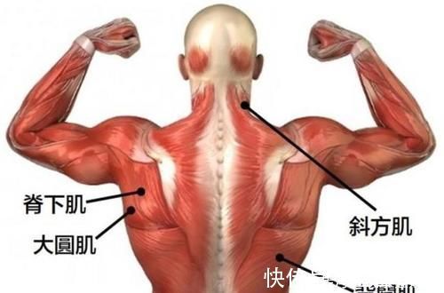 杠铃|一直被质疑，却一直被重视，为什么它让健身人士又爱又恨