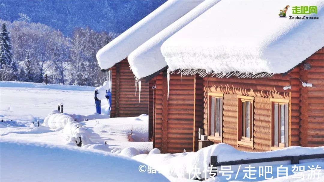 自留地|神的自留地，冬天的喀纳斯！美过北欧的它，才是雪景颜值的天花板