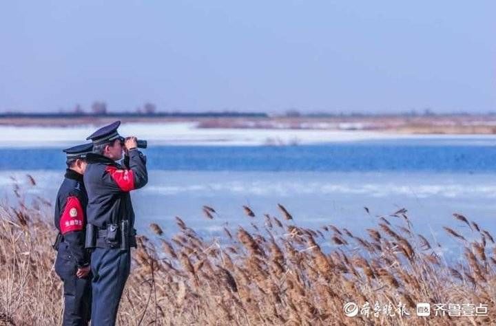 黄河入海口|在黄河入海口，“生态警长”的新年是怎样的