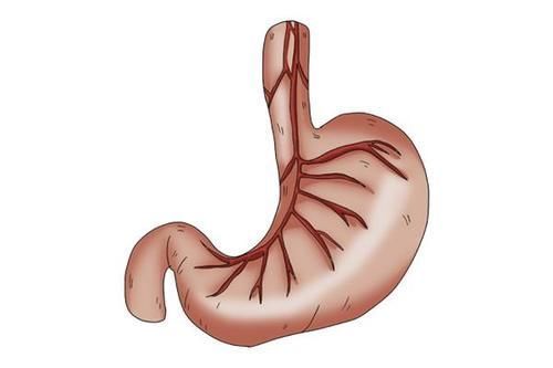 患者|癌症会不会传染?与癌症患者共餐,需不需要注意什么?告知答案