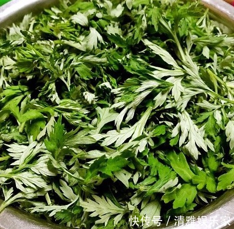艾草|艾叶，头皮上抹一抹，好处立即找上门，赶快分享给家人