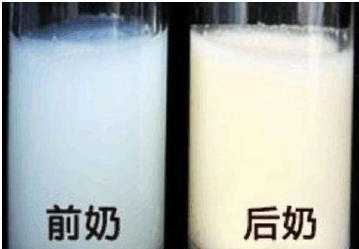 宝妈|哺乳期，奶水太清≠没营养