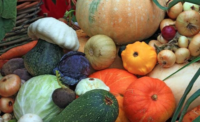 凌志军|44年前患癌,之后癌症复发3次,现93岁身体健康!抗癌有“4妙招”