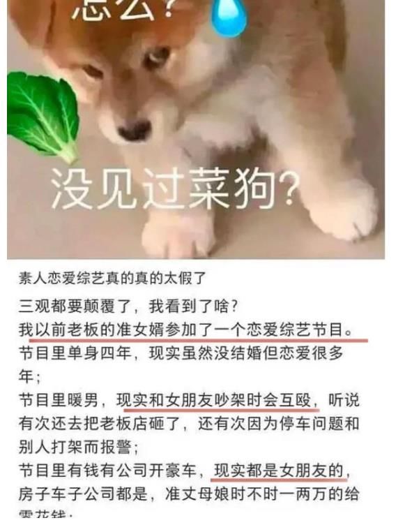 《半熟恋人》俞悦翻车实锤！节目组悄悄更改简介，牙医人设恐不保