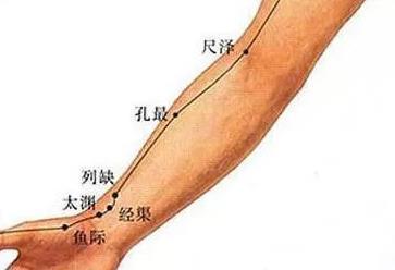 李中梓|肺,真正的先天之本所有养生都始于肺,3招疏通肺经,百病难侵