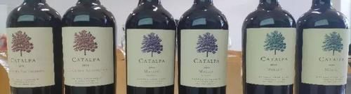 北大这门课上，为何会有酒香？