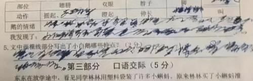 小学生“狂草”字体走红，字迹潇洒，老师：你是我成功路上的槛