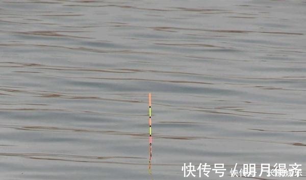饵重|钓鱼技巧调漂方法虽然有多种,但要做到精准,都要遵循这些要点