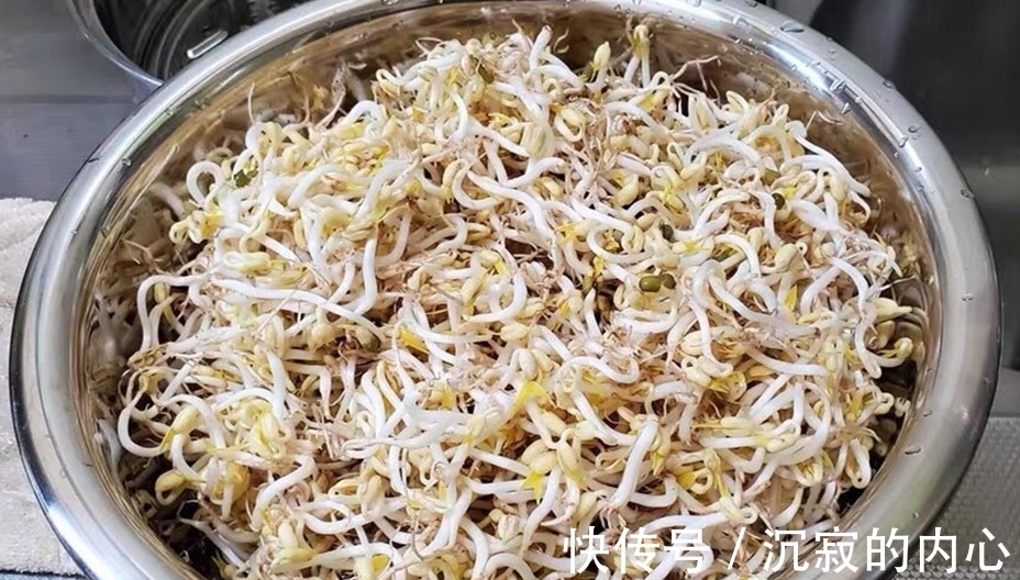 想吃豆芽不用买,教你自己在家种,4天一茬,随吃随种,特省事