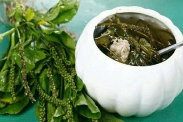 用车前草|喝“车前草”泡的水,对身体有以下好处,药用价值很高!