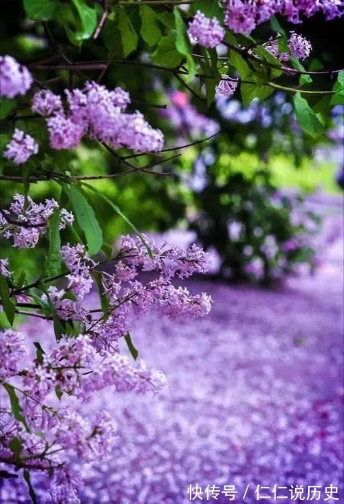 美好的时光!教人知道已春深,十首春深的诗词,去珍惜春天的每一寸时光!