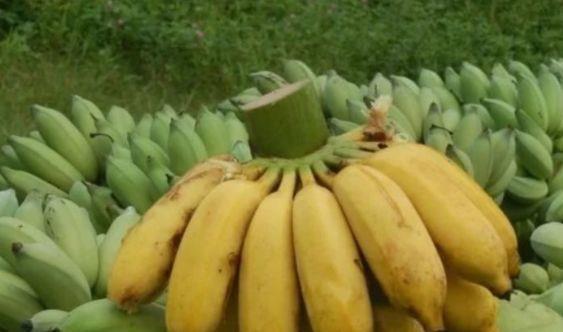 人到中年常吃几种食物,美容养生,延缓衰老,好吃又健康