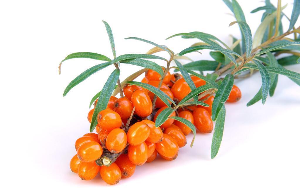 盘点|盘点7种高热量的水果，比吃肉还容易胖