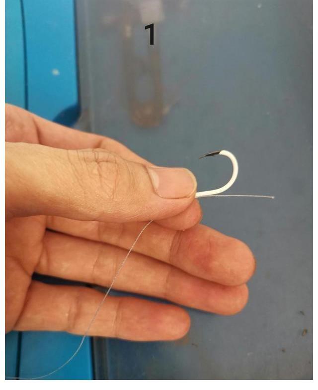 鱼钩|怎样绑鱼钩