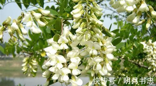 高血压|高血压的“死对头”找到了,早晚喝一杯,控制血压悄悄降下来