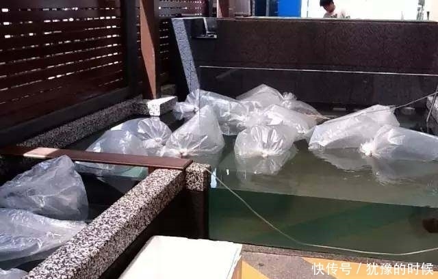 鱼缸和池还可以这样结合?只能说很有想法,有钱我也搞一个!