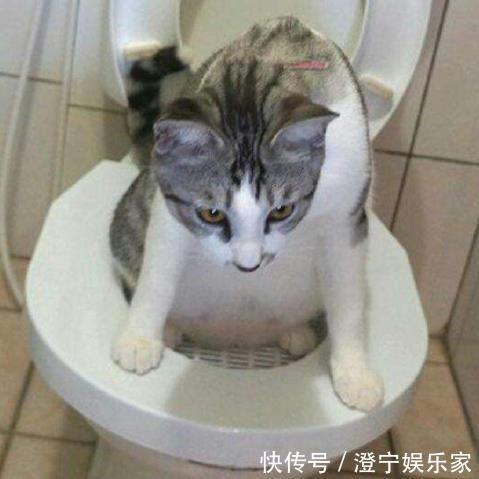 寿命|天天在这个时间段“上厕所”的人,寿命可能会比别人长一些