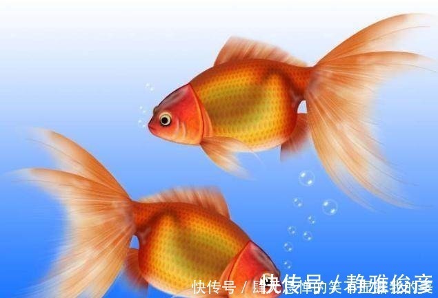 男人|男人什么时辰出生,就是什么命!太准了