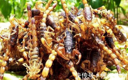 多喝|喝酒的行家都说,如果碰上这几道下酒菜,最少能多喝半斤酒!