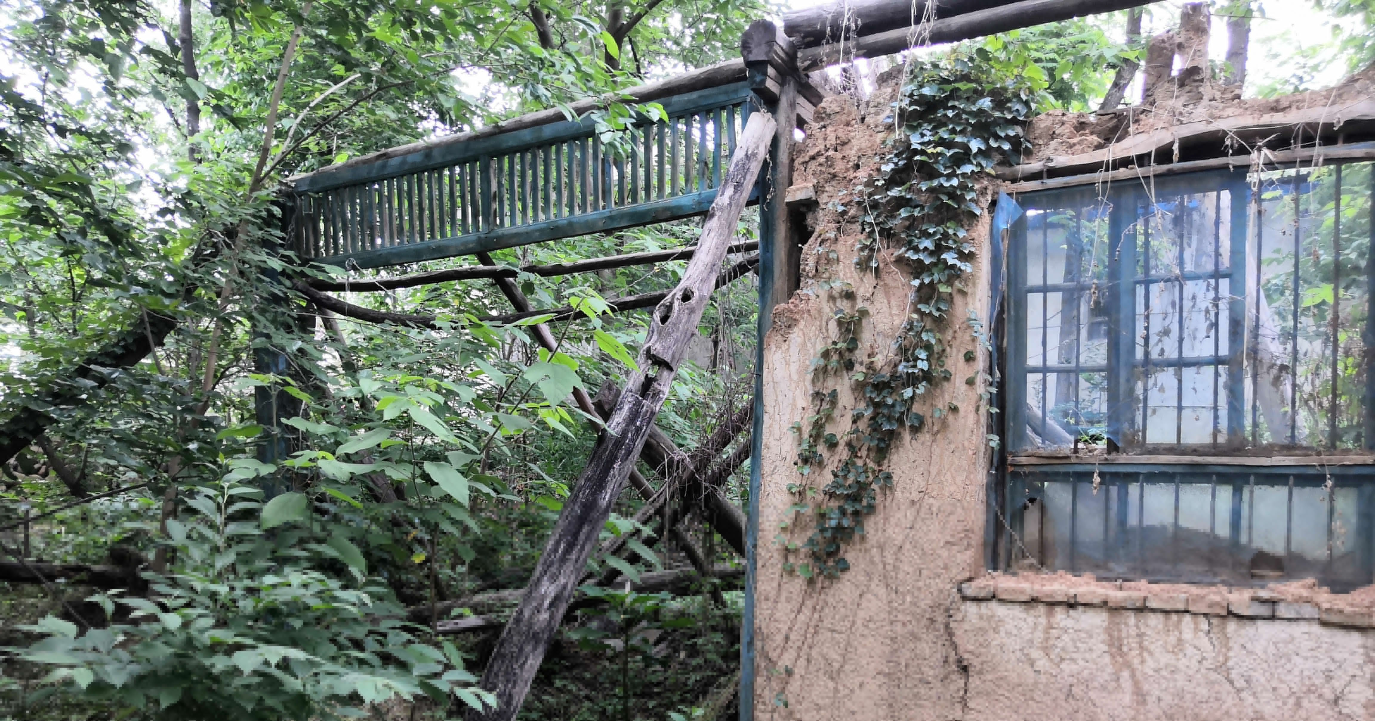 秦岭密林中发现个破宅子，可能有隐士在此住过，阴森森的能拍鬼片