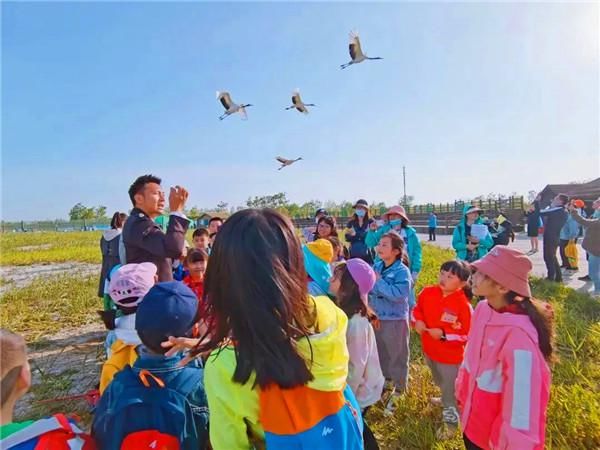 旅游业|盐城亭湖：立足“大文旅”全域美景入画来