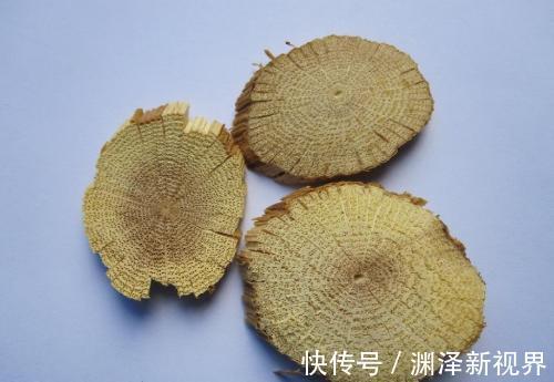 猪苓|中医入门8种祛湿利水中药,除湿气,消水肿的好手,一次讲清楚