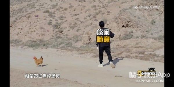 它逃，他追，它…跑的更飞？