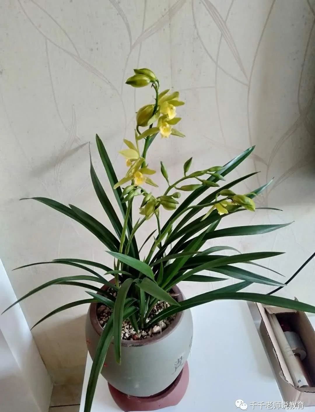 天道|从史记人物伯夷和叔齐看“天道是非”