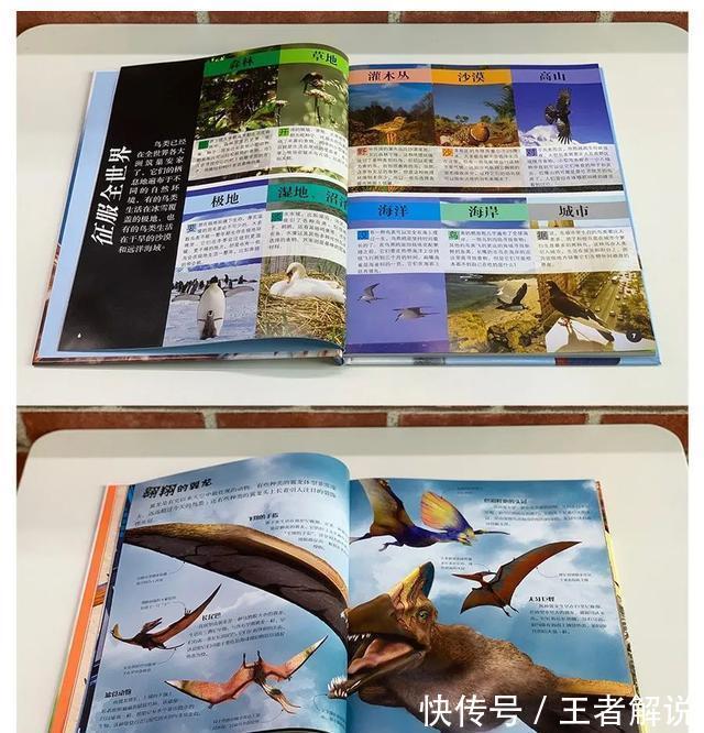 恐龙世界@DK图书大盘点第一季:少儿百科类