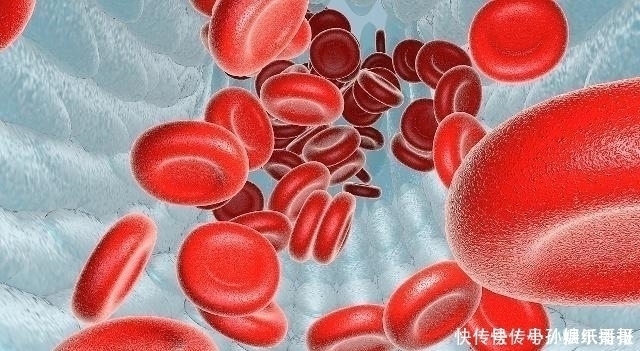 血液|血管堵塞不要慌,坚持吃这3种食物,帮你净化血液,疏通血管