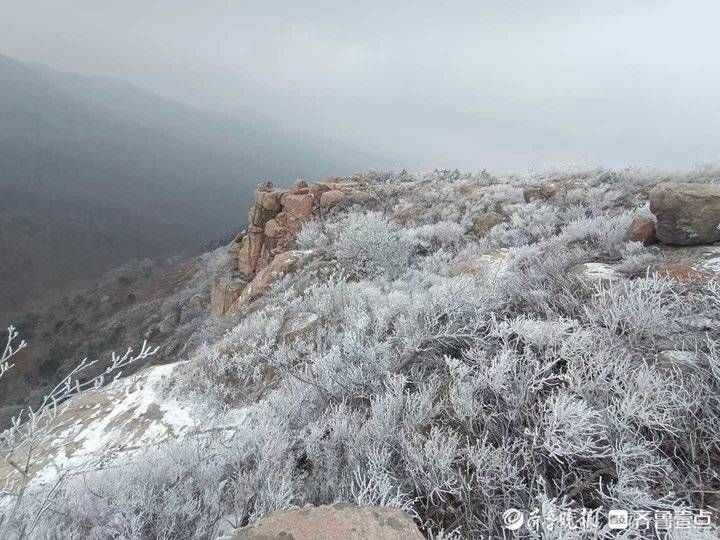 雾凇|沂山上漂亮的雾凇又来刷屏了