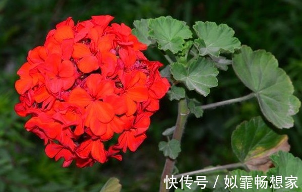 人财两空#俗话说天狂有雨人狂有祸,人再有本事,也别说这4句话!