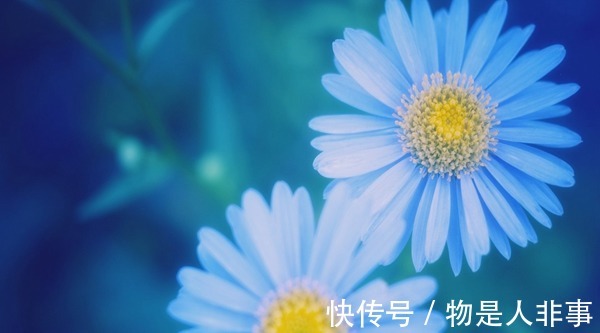 新妈妈|产后出汗、贫血等症状,建议食谱来调养!产后出汗、贫血等症状,建议食谱来调养!