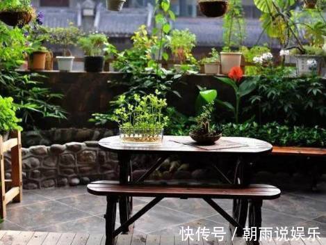 绿萝|丢水里就能长得很好的6种蔬菜,比花美、比绿萝还好养!