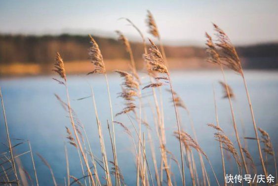 吹尽狂沙始到金|刘禹锡的一首哲理诗,短短4句,读后受益无穷