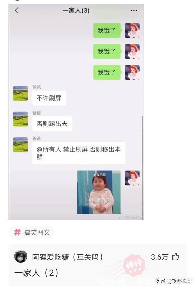 |网友搞笑神回复:大家有什么不懂得可以问我