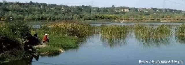 水面|大量鱼泡冒出水面,就是无鱼吃钩!稍作改变大鱼乖乖上岸