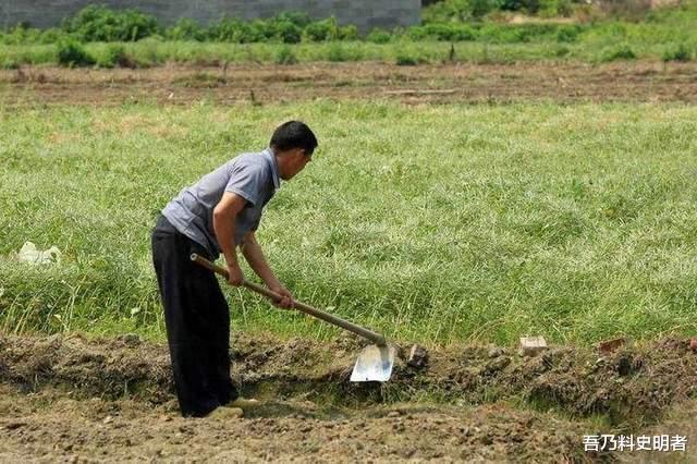 陕西农民犁地发现陶鹰鼎，带回家做鸡食盆，无偿上交后却成国宝