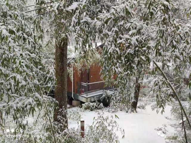 赏雪好去处！陕西黑河国家森林公园雪景和森林并存，风景美如画