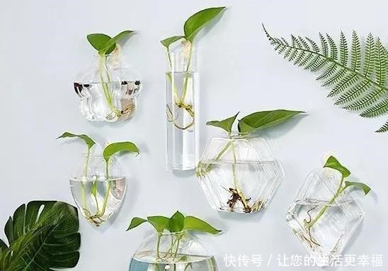 这些旧物都可以挂墙上养花,比挂画还好看呢,5种变废为宝创意!