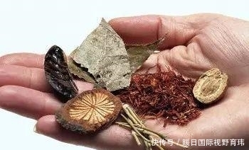 德国大学教授如此评价中医,令无数中国人汗颜