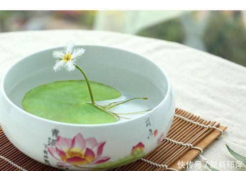 这5种花不能缺水,太阳一晒更要补水,开花勤快叶子翠绿