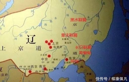 生存之道|从高丽对女真的态度转变,看小强的生存之道