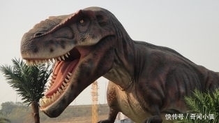 5000万只霸王龙突然出现在地球,会有什么事情发生?