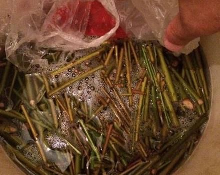  花钱|此种自然生长素，不花钱就有，养花浇1瓶，白根呼呼冒