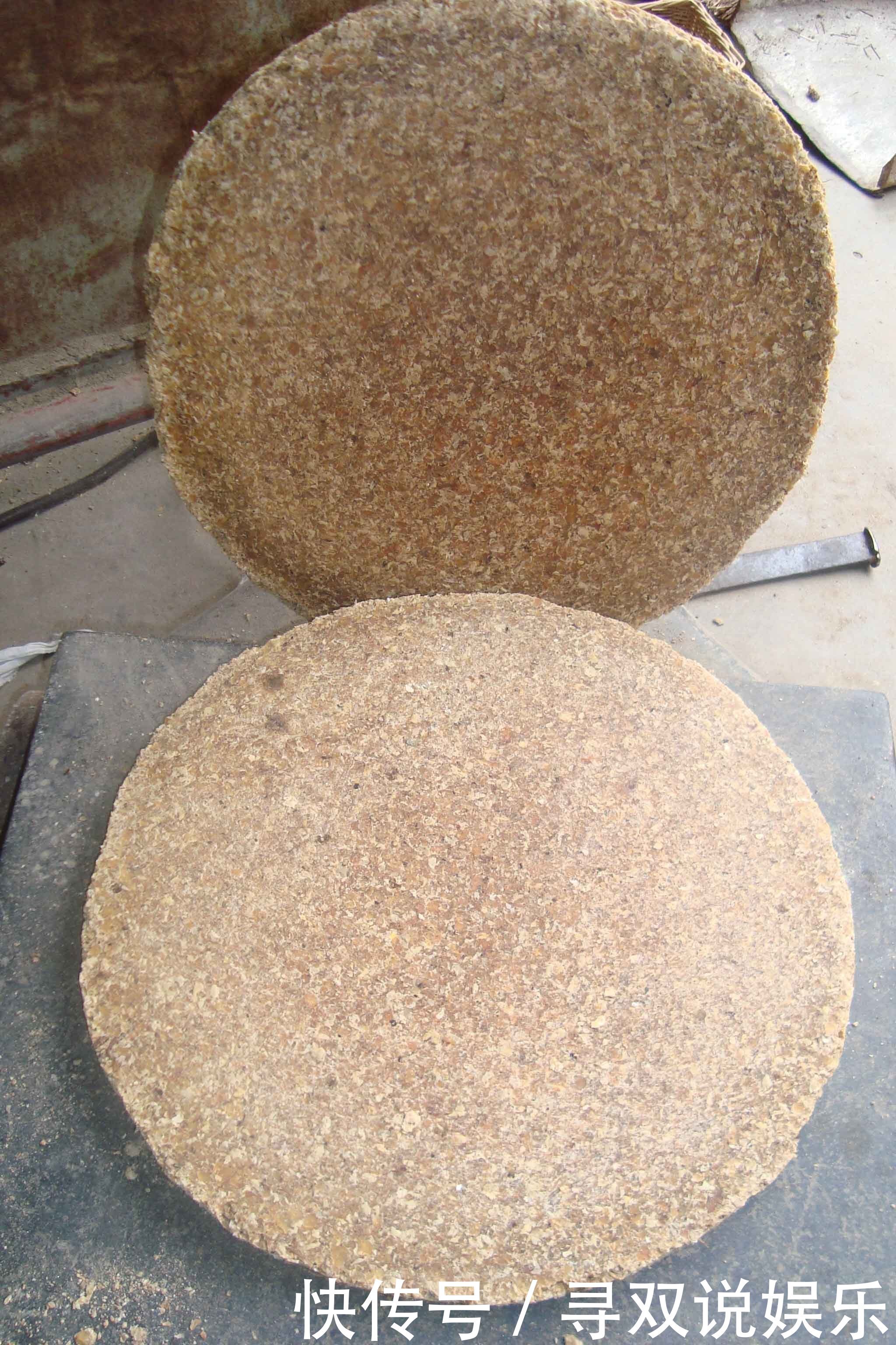 养花不会施肥2种“小东西”垫盆底,一年不用施肥,花卉蹭蹭长