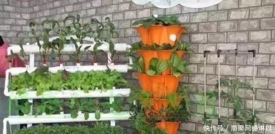 开槽|阳台别再晒衣服了,用一根水管,就能种出全家人吃的菜!