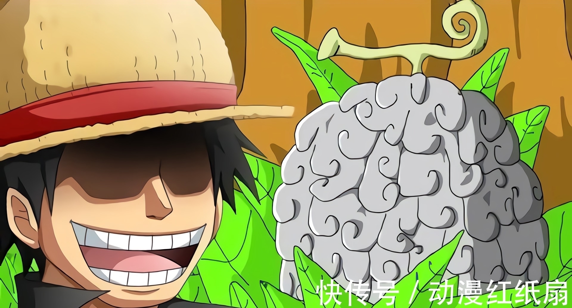 橡胶果实|海贼王,误食恶魔果实的4位大佬,结果各不相同,有人还成了皇