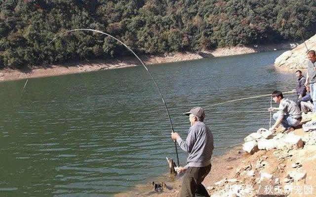 鱼钩挂底、挂树、挂衣服,别着急,这样处理,很快就能搞定